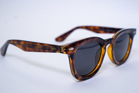 Óculos de Sol Taia - Tortoise